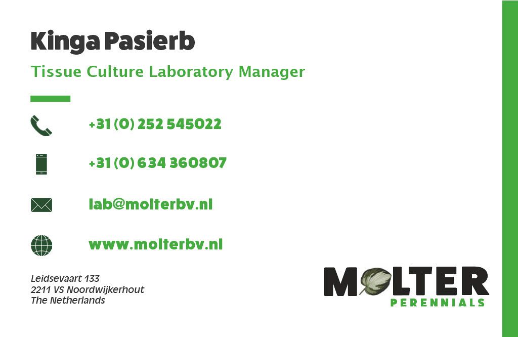 Molter B.V.