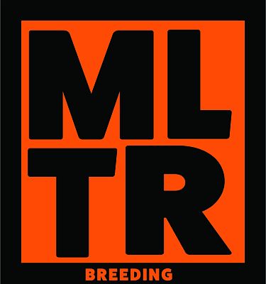 Molter B.V.